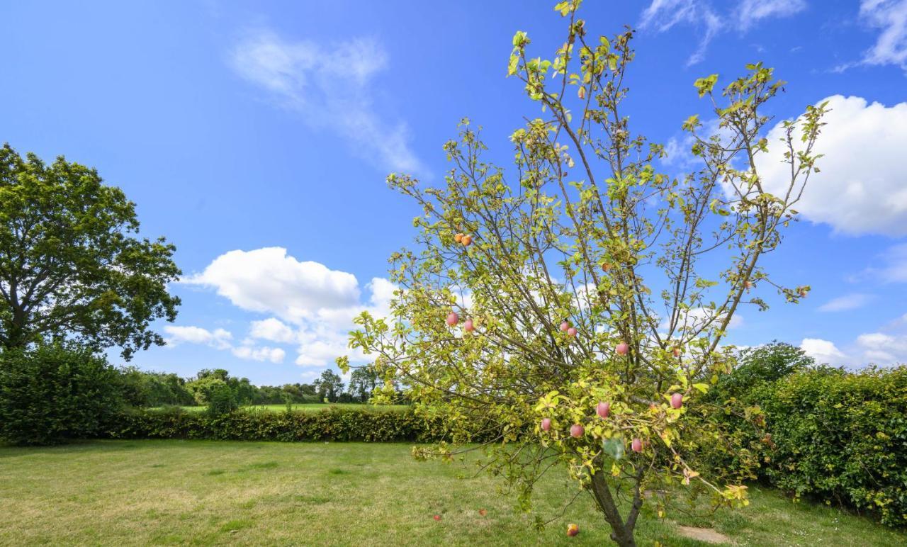 Appledown - Secluded Rural Retreat In Kingsdown, 10 Mins To Beach Kingsdown  Exterior photo